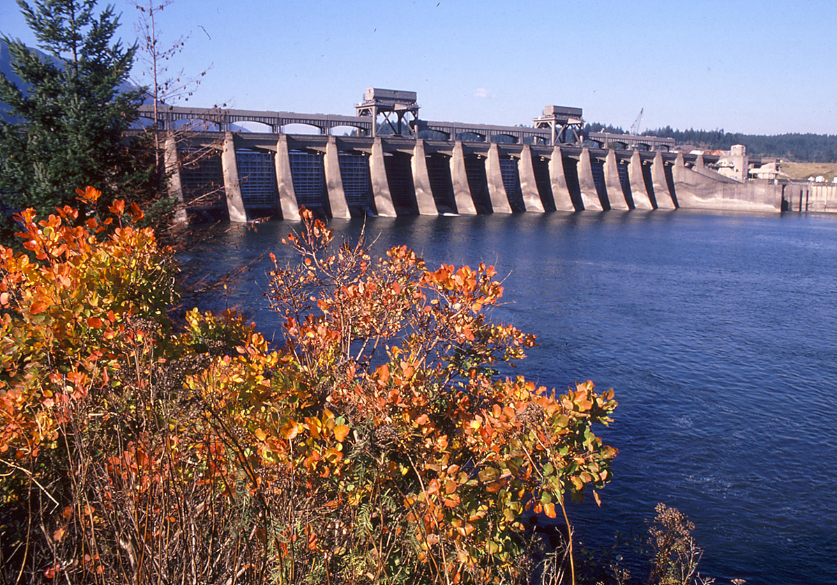 Bonneville Lock and Dam Estuary Partnership